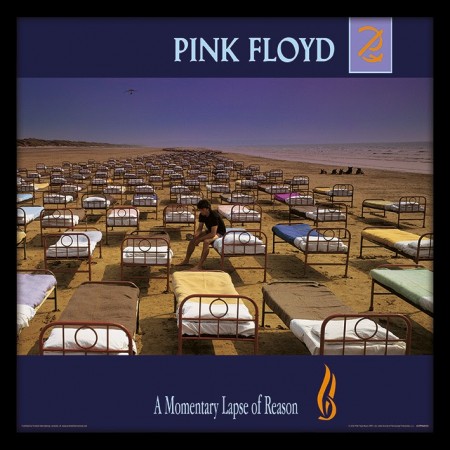 Pink Floyd (A Momentary Lapse of Reason)  12